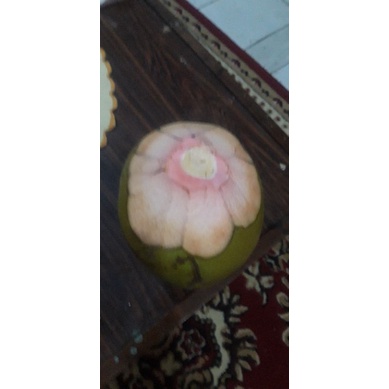 

kelapa ijo obat