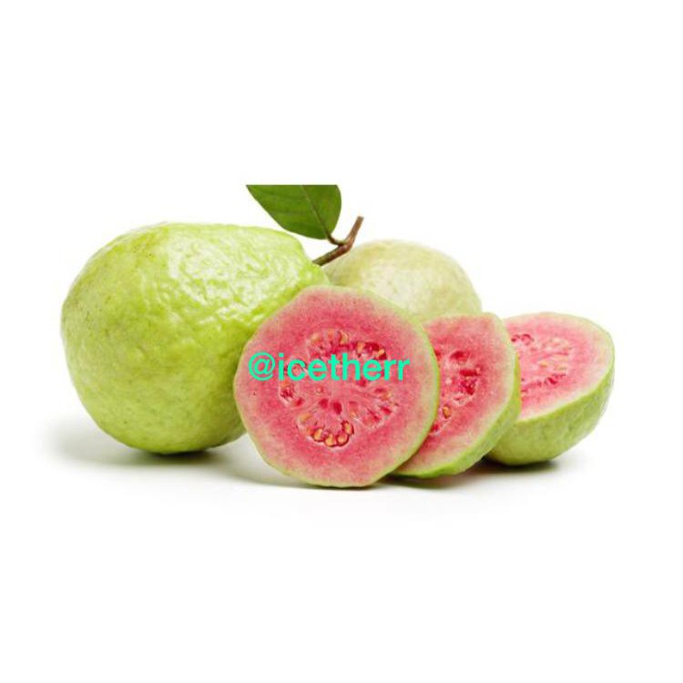 

JAMBU BIJI MERAH