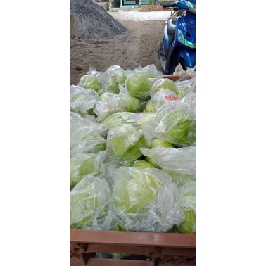

jambu kristal