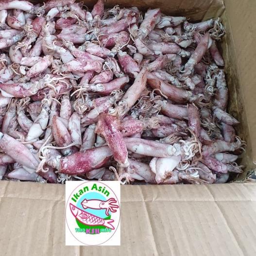 

♣ ikan asin cumi ◘