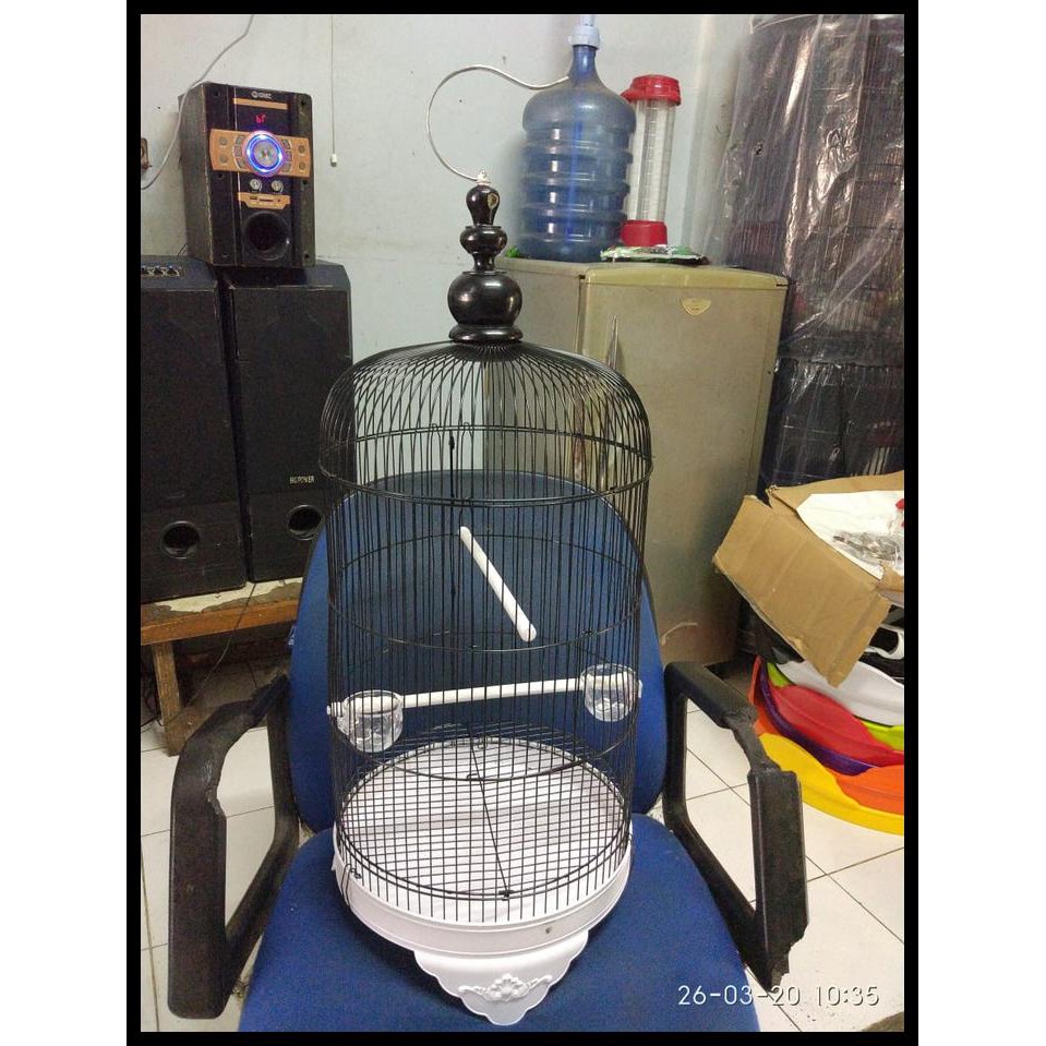 kandang love bird