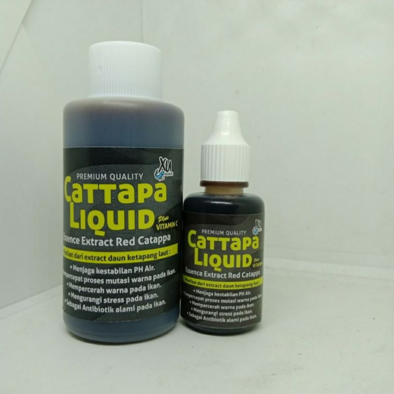 ekstrak ketapang laut premium plus vitamin C / extra ketapang 100ml