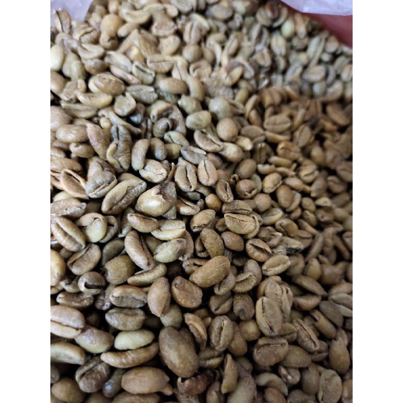 

biji beras kopi liberika (belum di roasting)