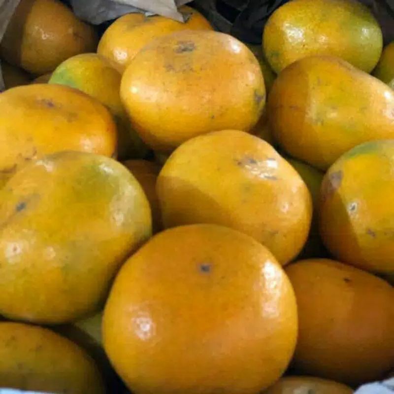 

Buah Jeruk