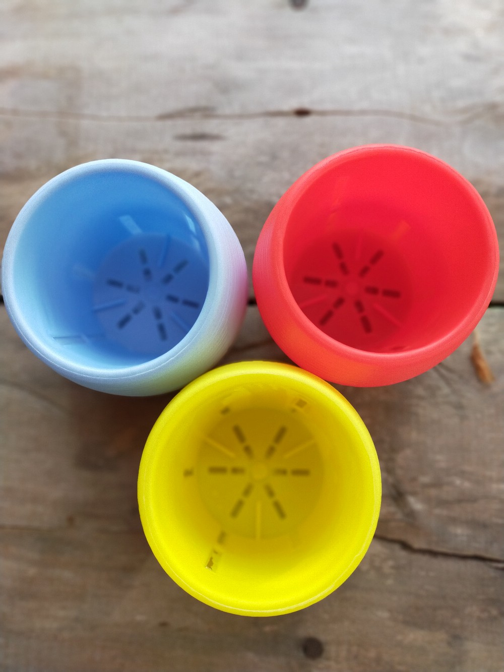 ECER PREMIUM Pot Kaktus Pot sukulen Pot mini Pot warna ECER PREMIUM Pot Kaktus Pot sukulen Pot mini Pot warna