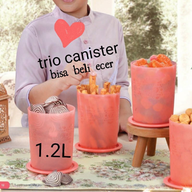 Trio Canister Tupperware/Trio Canister Set/Canister peach/mosaic Canister/trio canister