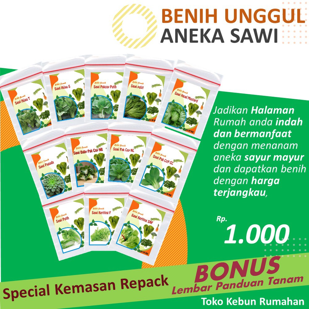 Bibit Sayuran Sawi Hijau Sawi Keriting Sawi Pakcoy Sawi pagoda dll benih sayuran untuk berkebun
