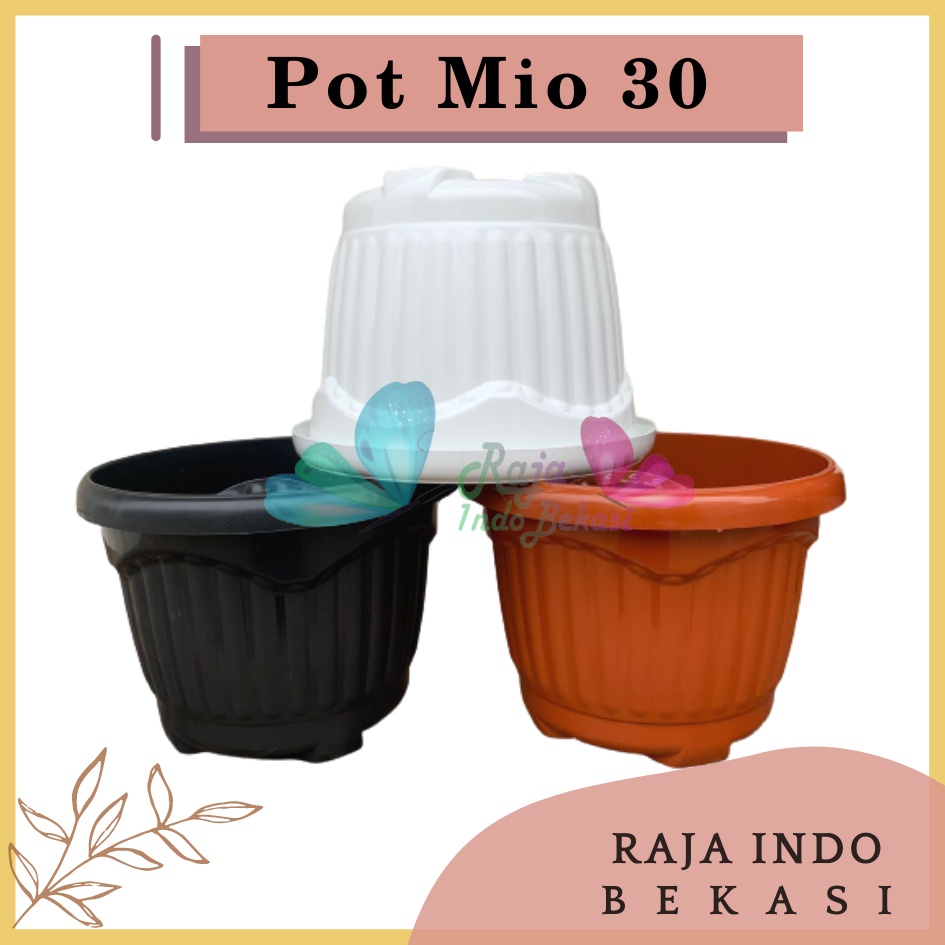 Pot Shallom Mio 30 Putih Hitam Merah BataTerracota Terracotta Merah Coklat Pot Bunga Plastik Tebal Murah Besar Kuat Motif Model Belimbing 30 cm Putih Hitam Selusin Lusinan Tebal - SHALLOM MIO 30 pot bunga bulat besar tebal murah