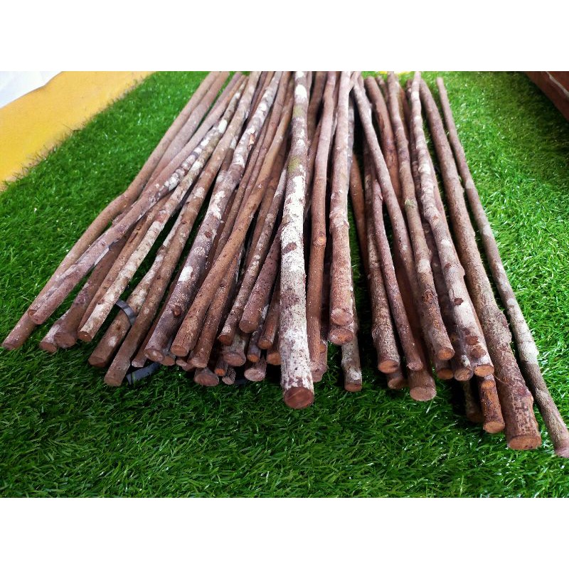 Tangkringan kayu asem bali