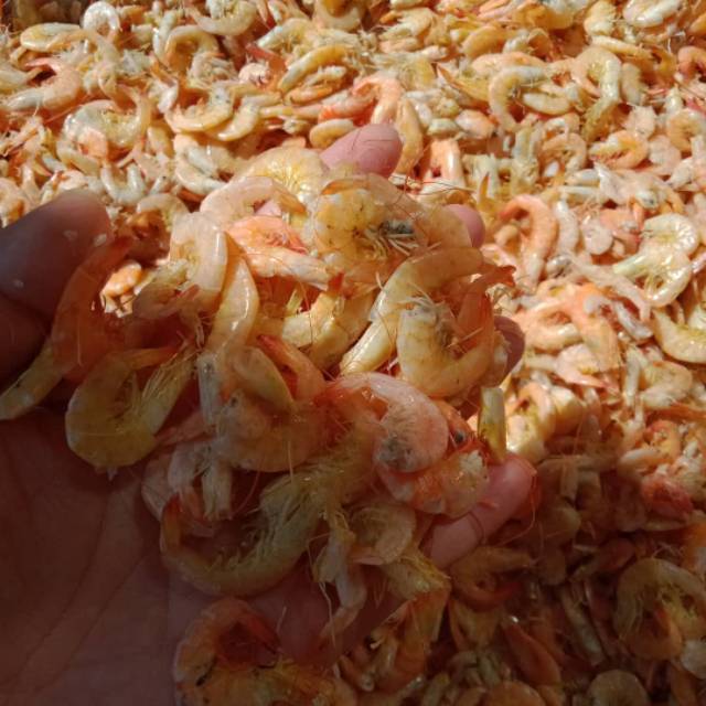 

Udang asin 250 gr