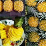 

nanas madu asli pemalang kupas bersih fresh manis per 1 pcs