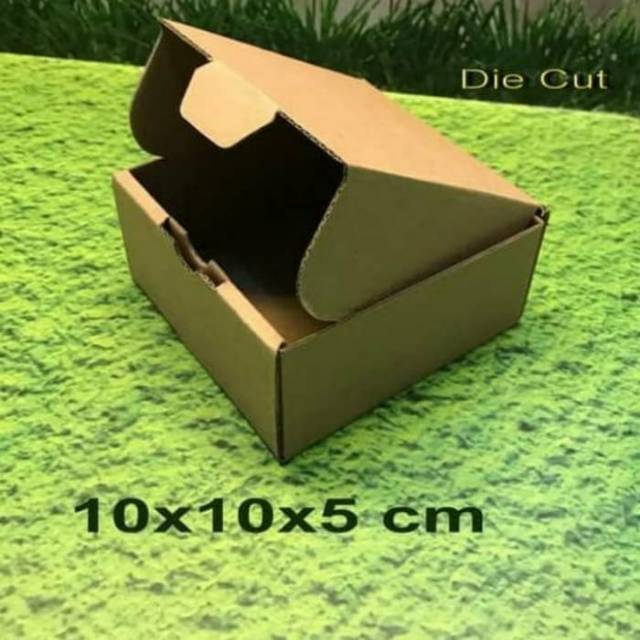 

Karton box 10x10x5