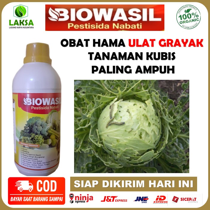 Pestisida Nabati Biowasil Obat Hama Ulat Grayak, Ulat Kubis, Ulat Buah Paling Ampuh - Biowasil 500 M