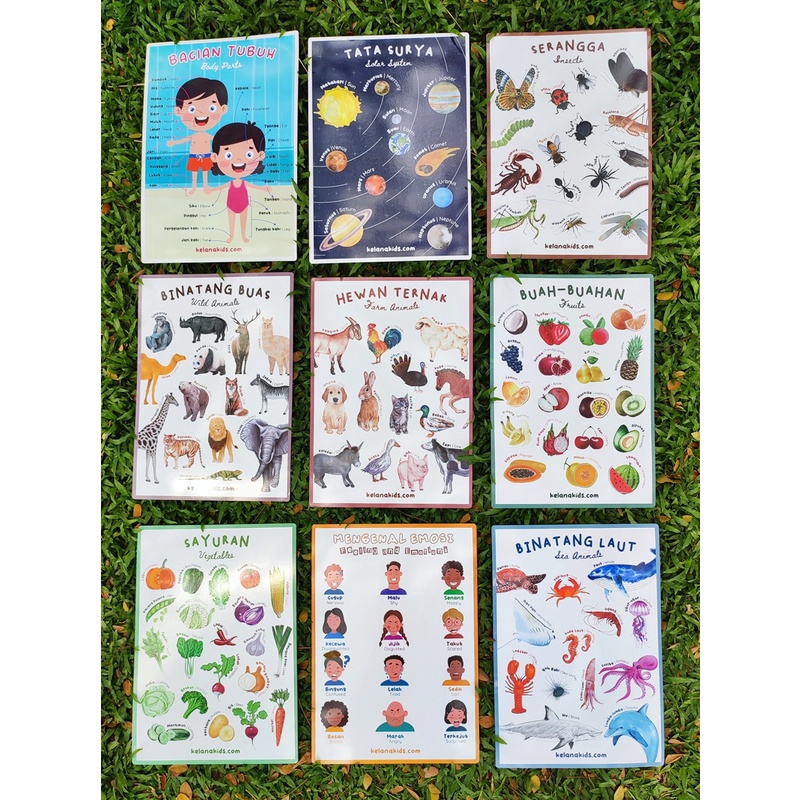 Poster Edukasi A3 Binatang, Laut, Buah, Sayur, Tata Surya, Bagian Tubuh, Emosi, Peta Indonesia