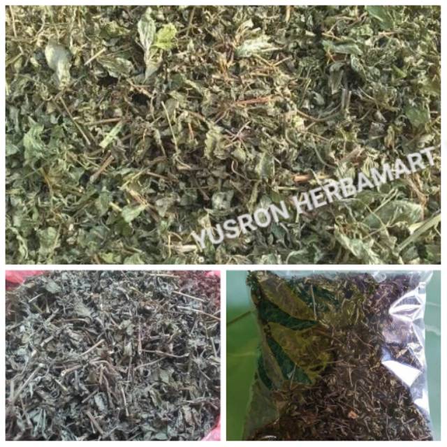 

DAUN MINT PAPERMINT KERING / MINT MENTOL 100 GRAM