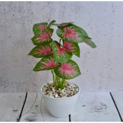 Daun Plastik Daun Keladi Merah Artifisial