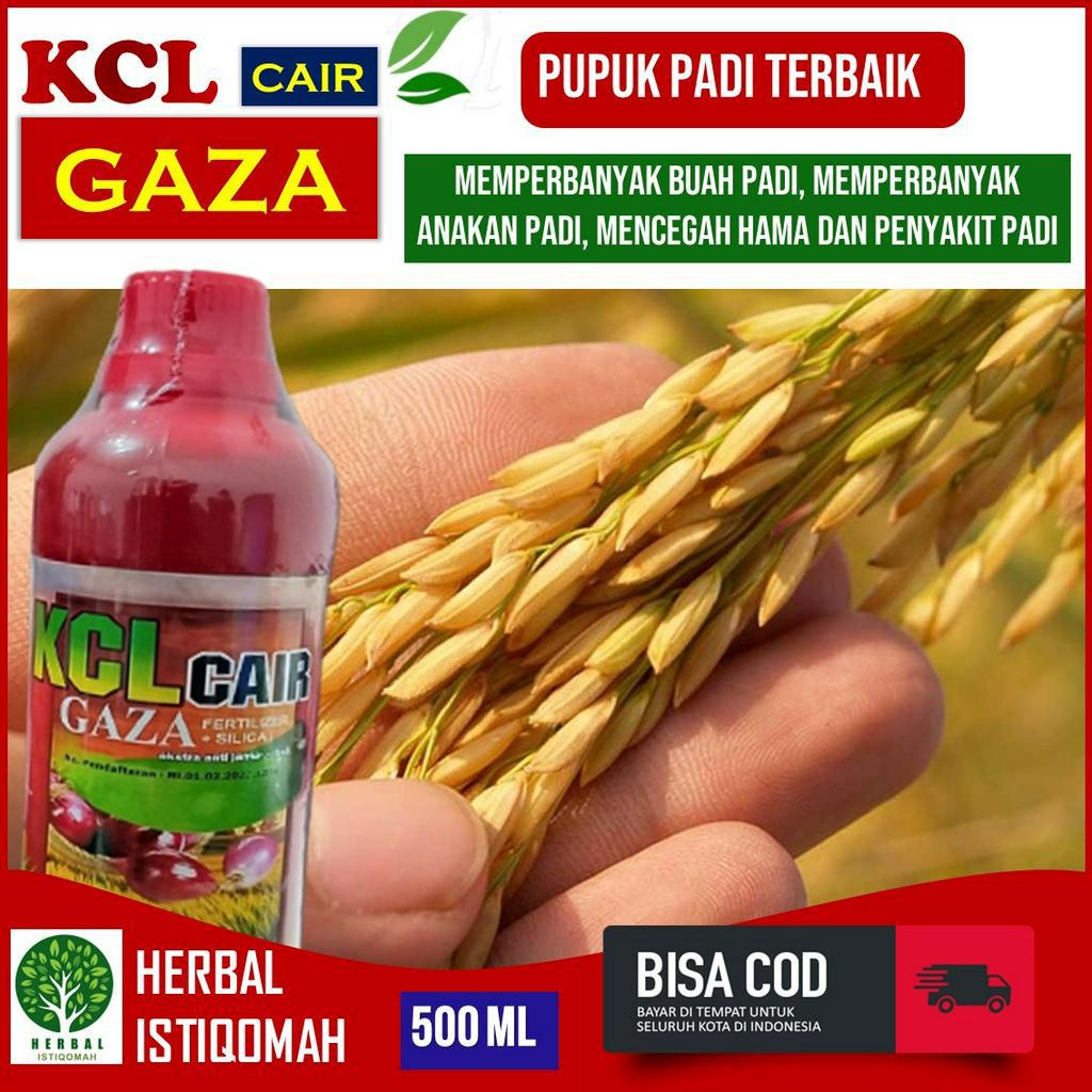 Pupuk KCL Cair Gaza 500ml Pupuk KCL Cair Obat Penyemprot Tanaman Padi - Pupuk Semprot Organik Untuk 