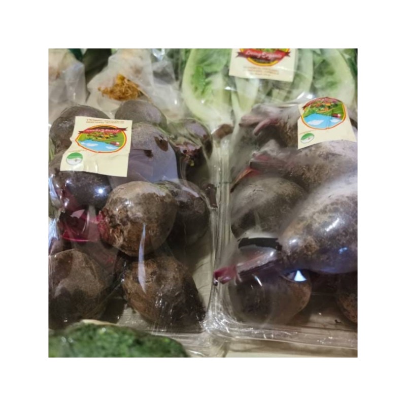 

Bit || Beet Root || 500 gr || Sayuran Organik