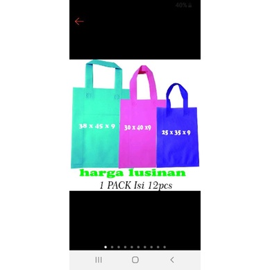 

Goodiebag spounbond 25x35.30x40.38x45