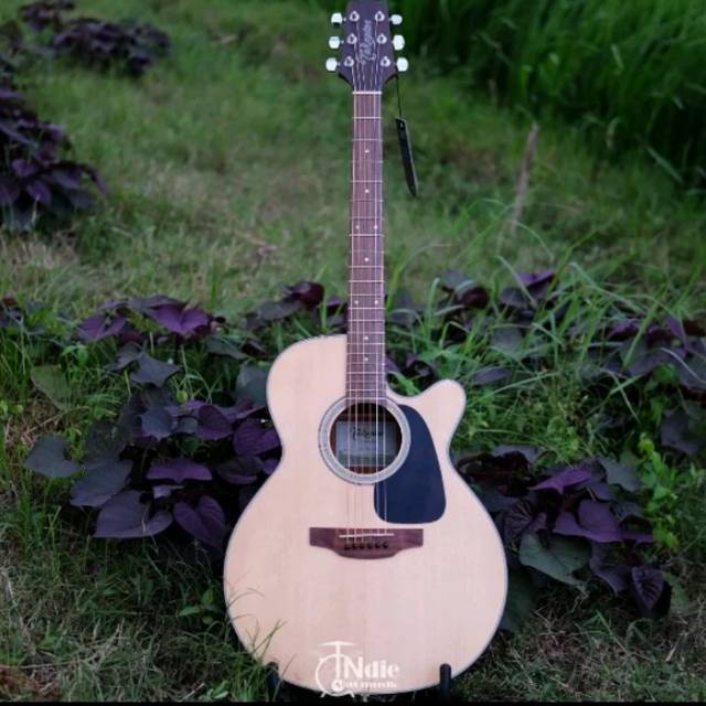 Gitar Akustik Takamine ED1NC NS