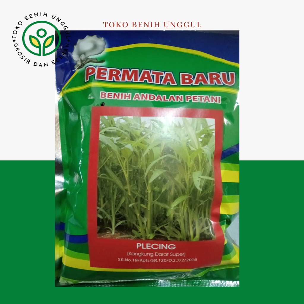 bibit benih kangkung darat unggul plecing 50gr perk Permata baru - bibit kangkung darat super
