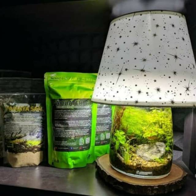 Lampu Belajar Untuk Aquascape  LAMPUKITA