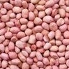 

KACANG TANAH KUPAS 250 g