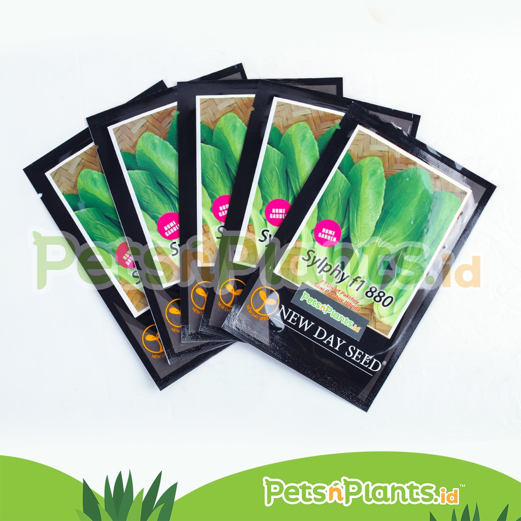 Bibit Sawi Hibrida Dwarf Pakchoy Sylphy New Day Seed