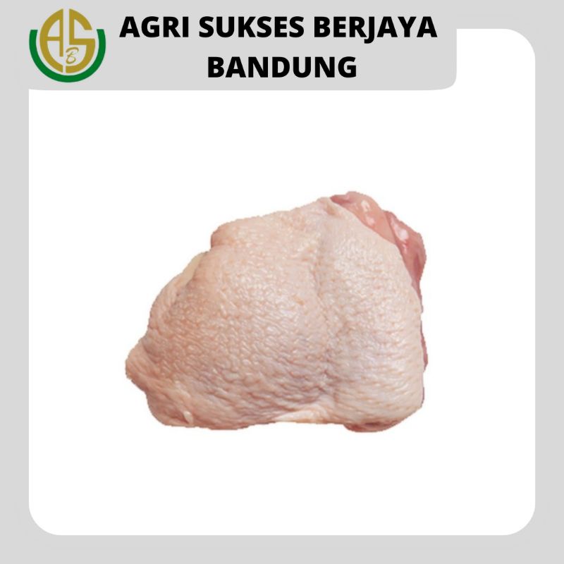 

Paha Atas Ayam Broiler Fillet Fresh | 500 gr