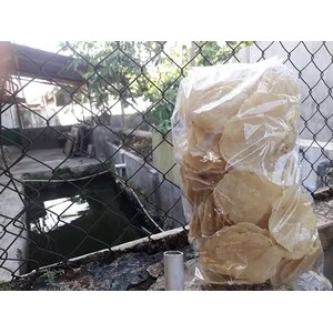 

Emping Mentah Melinjo Lebak 500 gr