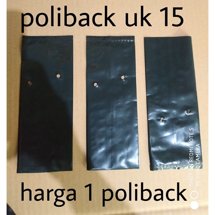 poliback uk 15 harga per biji