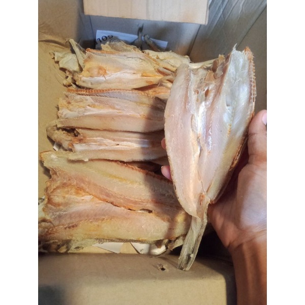 

ikan bloso super