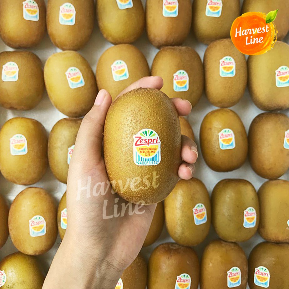 

KIWI GOLD ZESPRI NEW ZEALAND 500 GRAM [HARVEST LINE]