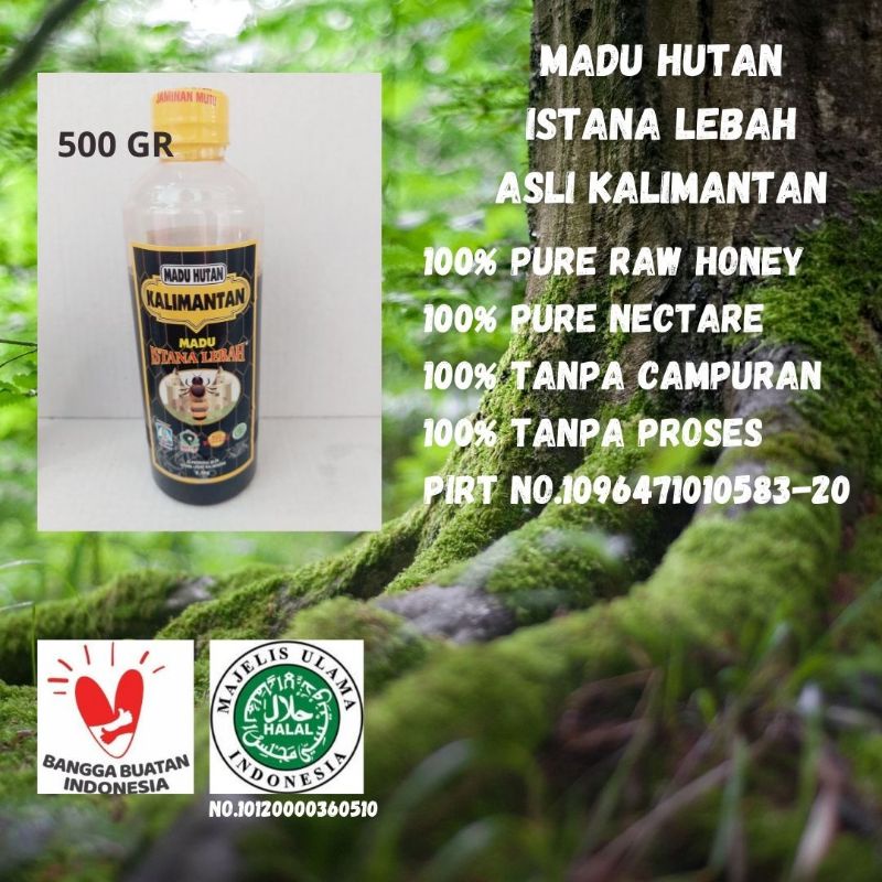 

Madu Hutan Murni Asli Kalimantan sumbawa 500Gr Balikpapan sumatera Sertifikasi LP POM MUI RAW HONEY