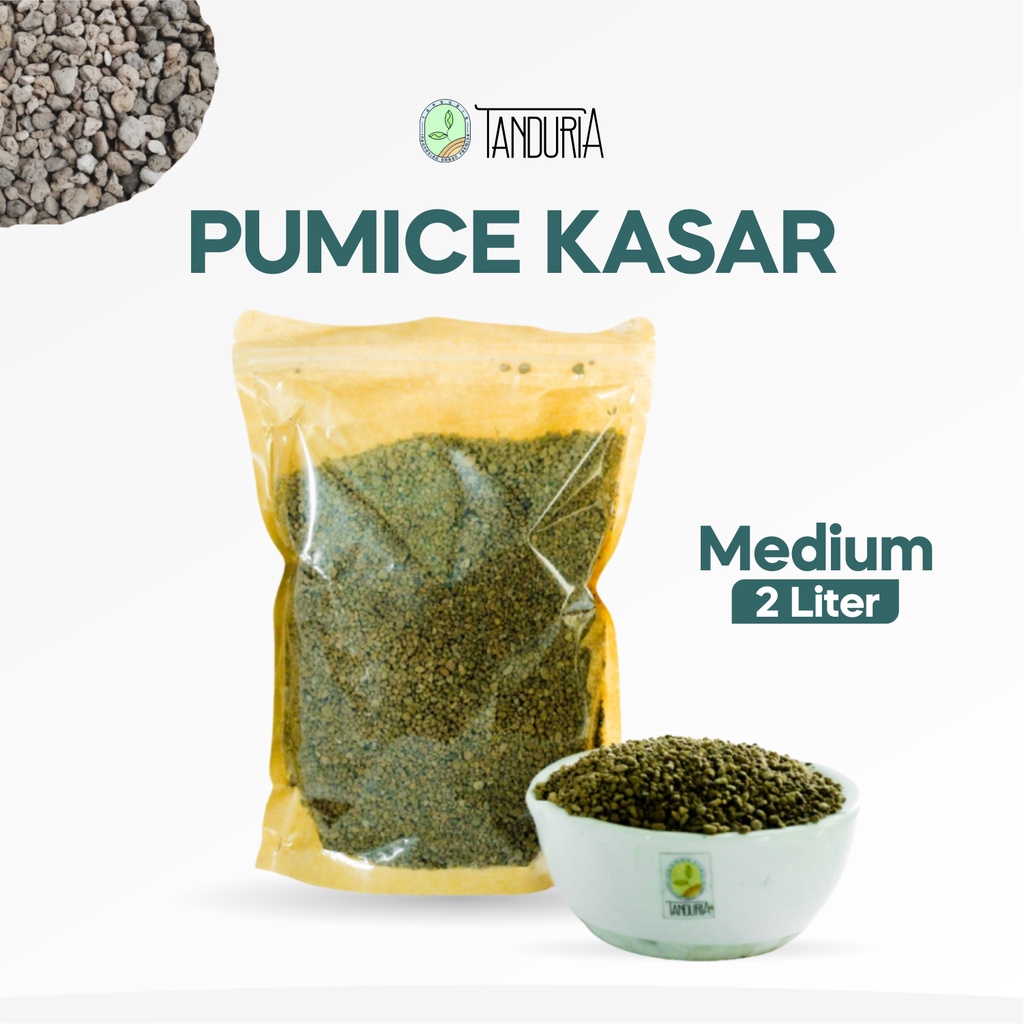 PUMICE KASAR 2 LT