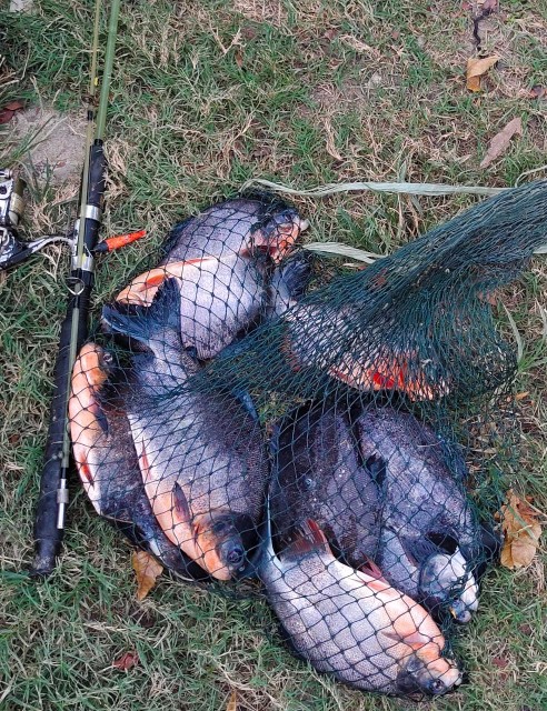 Styrofoam Box | Sterofoam Box | Cool Box