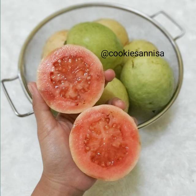 

MURAH BANGET - JAMBU MERAH MANIS