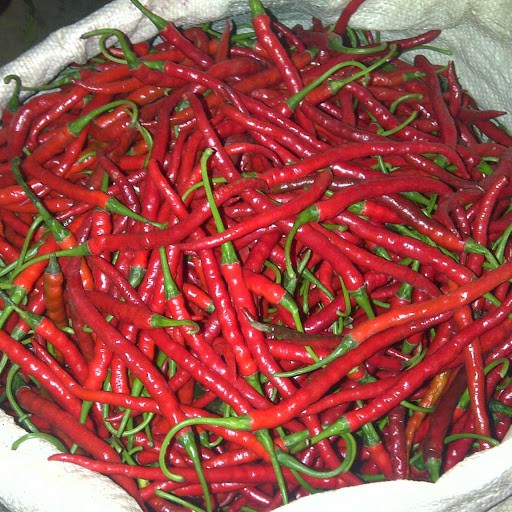 

Cabai Merah Keriting Stgh Kg