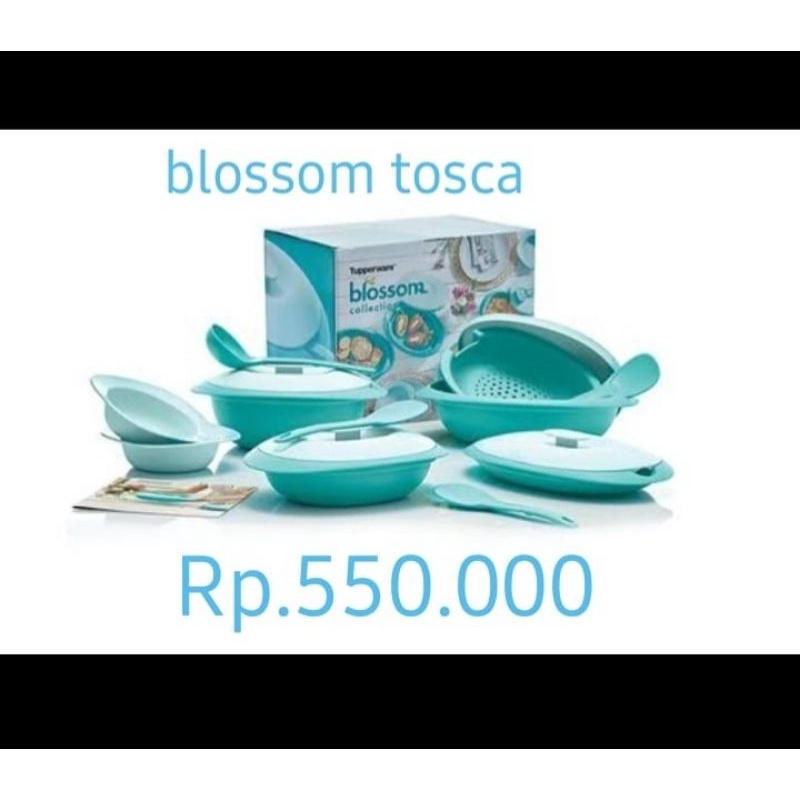 blossom collection tupperware tosca