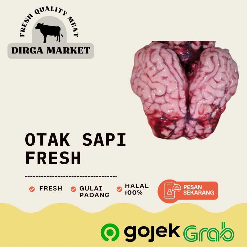 

Otak Sapi Segar Gulai Fresh