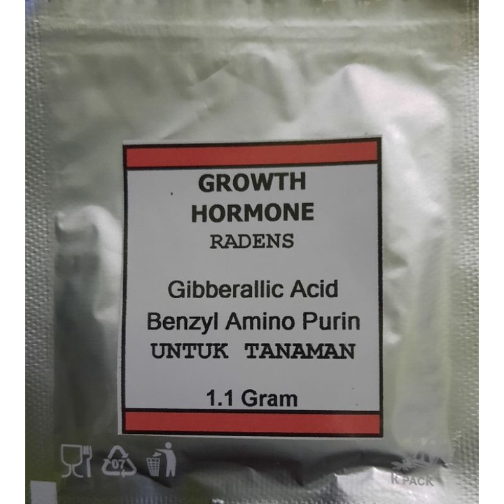 GA3 GIBERELIN DAN BENZYL AMINO PURIN BAP HORMON PUPUK