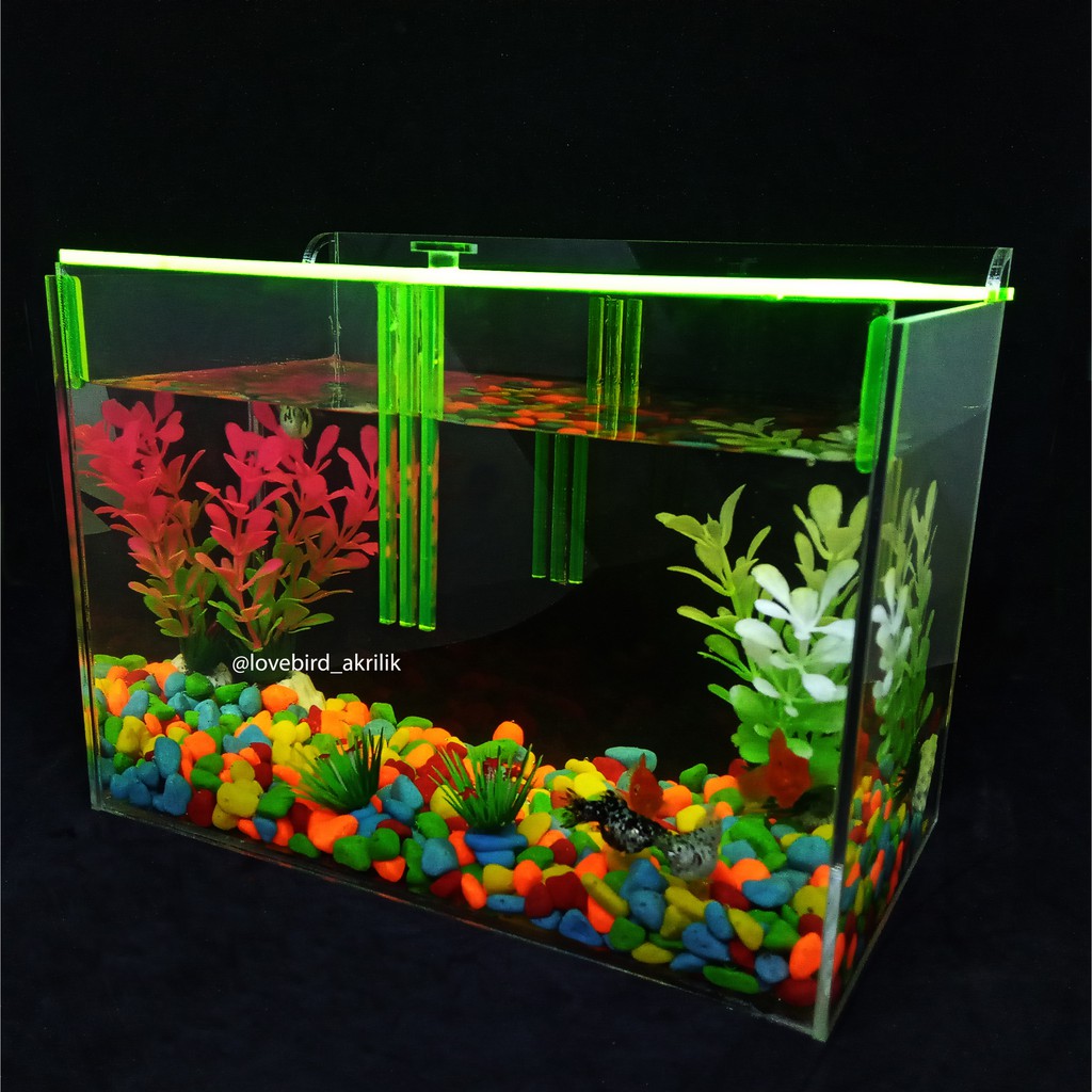 Aquarium Akrilik Aquarium Acrylic Aquarium Ikan Cupang Mini Aquarium Aquarium Mini Aquarium Shopee Indonesia Aquarium akrilik 100 cm