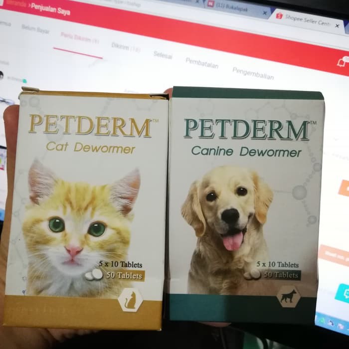 obat cacing kucing petderm drontal