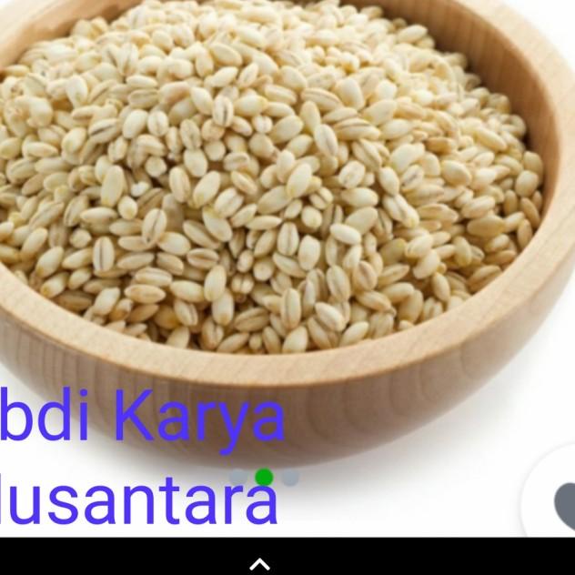 

☂ Jali jali 1kg Biji Jali-jali 1 KG Pearl Barley PRODUCE OF HOLLAND ℗