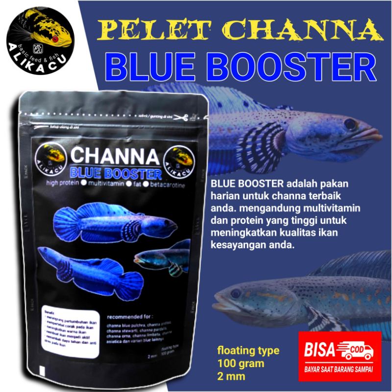 grosir pelet channa blue booster | pakan ikan channa blue pulchra blue orna blue orcha
