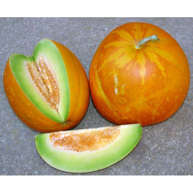 Benih Bibit Biji - Melon Thai Golden Round Cucumis melo Seeds - IMPORT