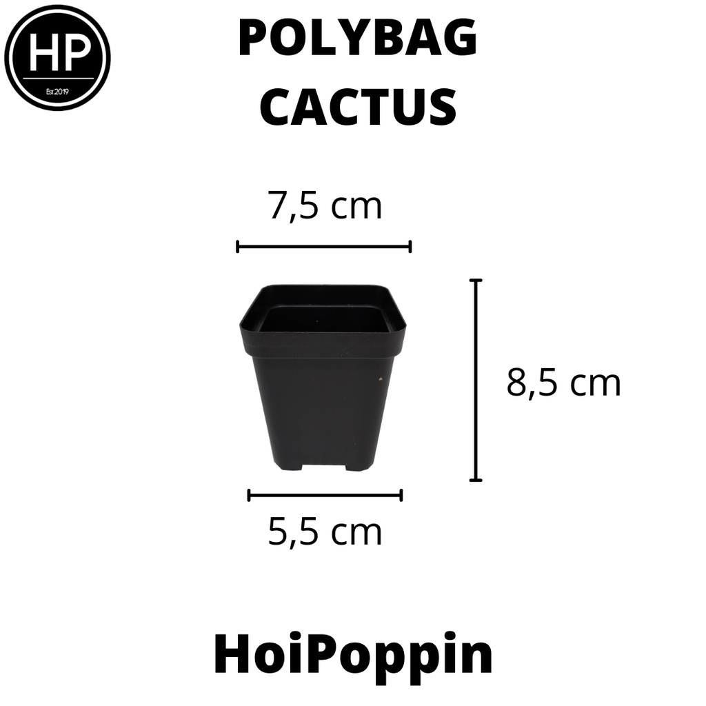 HPP - Polybag (Hitam) - cactus polybag - pot cactus - pot elastis - pot dan tatakan - pot - pot hias