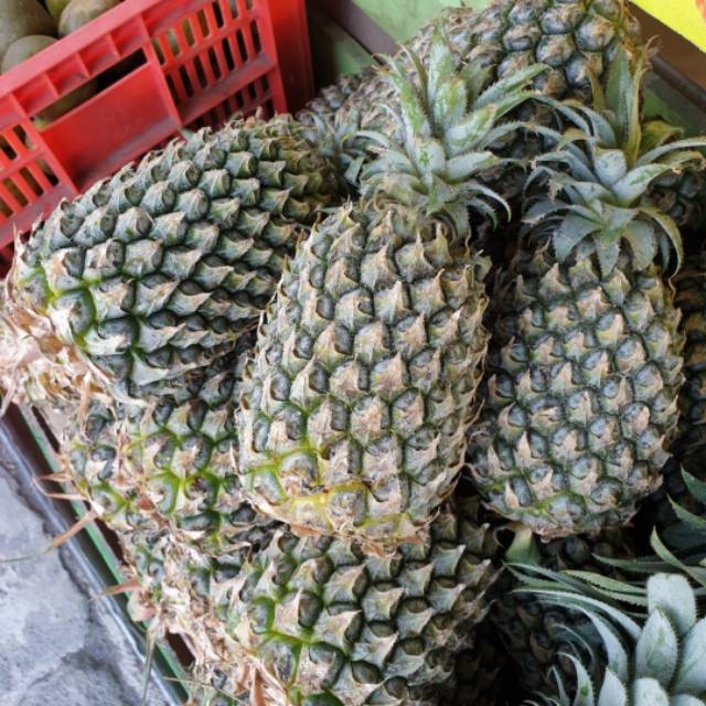 

Buah nanas fresh per pcs