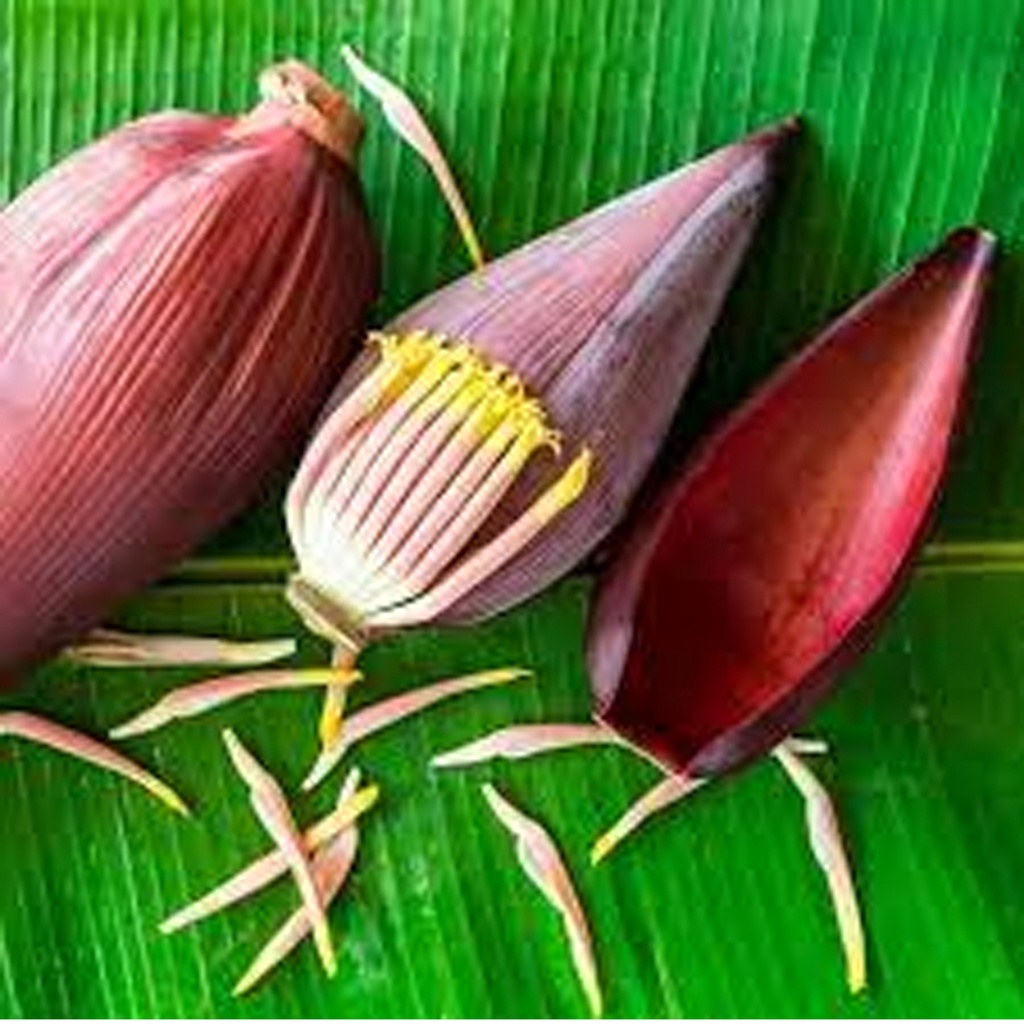 

1 Buah Ontong/ Jantung Pisang Kepok