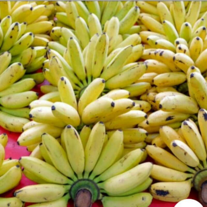 

PISANG MAS ASLI SUPER MANIS PER KG